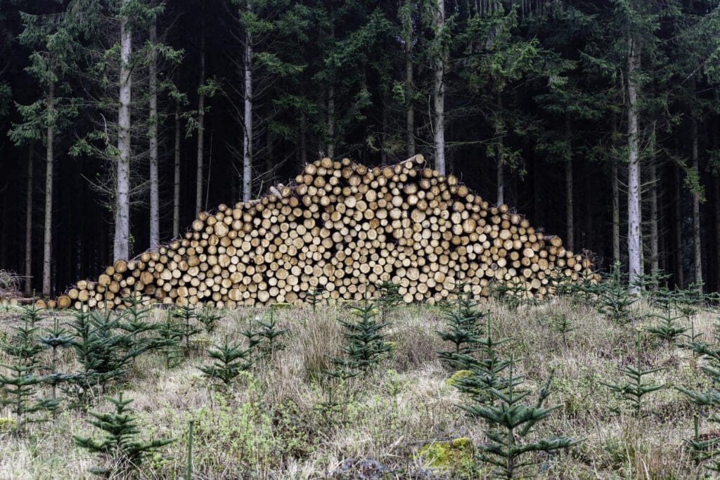 Skovdyrkerne - Skovdyrkerne