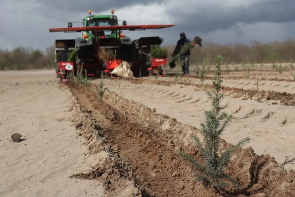 Skovdyrkerne hjalp i foråret 2023 Kirkbi med at rejse klimaskov i Kjærballe Plantage ved Brande