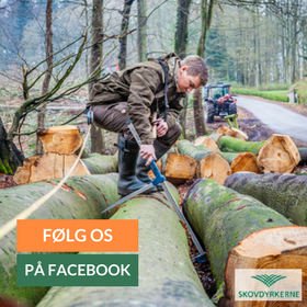 Følg Skovdyrkerne på facebook - klik her
