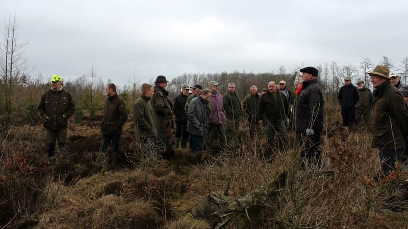 Skovdyrkerne Østjylland at tilplante med robuste nåletræskulturer på udsatte lokaliteter