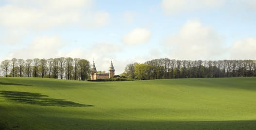 I 1700-tallet blev der plantet lindealléer op til mange af vore godser. Her Marsvinsholm i Skåne.