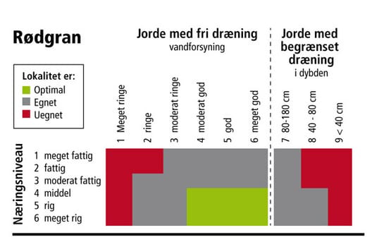 Jordbundskrav for rødgran (efter Skov & Landskabs Videnblad nr.3.2-29).