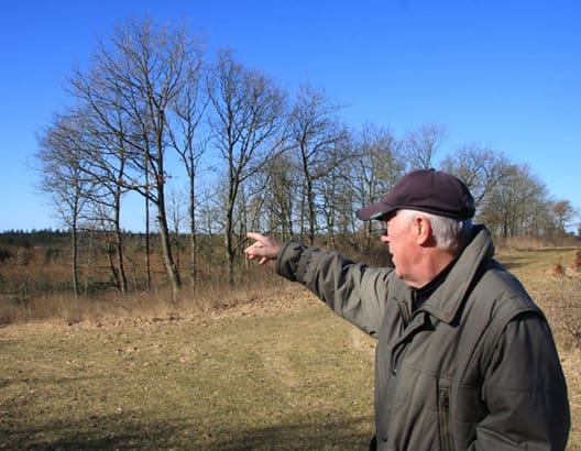 Der blev rejst omkring 25 hektar skov i første etape i 2010. Der er flere udsigtspunkter som her, hvor der er kig ned til den nye skov for foden af bakken