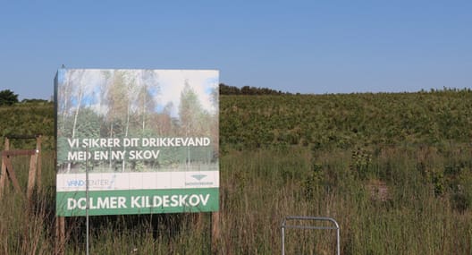 Træerne i den nye Dolmer Kildeskov kom i jorden i 2016. De nye 54 hektar skov skal fremover sikre grundvandet for Grenås indbyggere