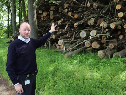 - Det er vigtigt for mig, at vi driver skovene forstligt, siger skovfoged Mikael Holmgaard-Grejsen, som her står ved en flisstak fra en tyndingsoperation, der er udført af Skovdyrkerne.