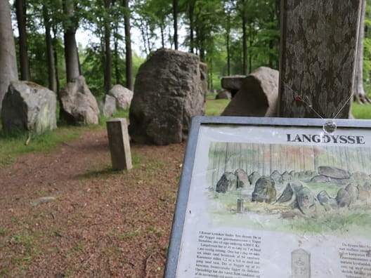 Der er en række bevaringsværdige oldtidsminder i Korsør Lystskov. Her er det en Langdysse. 