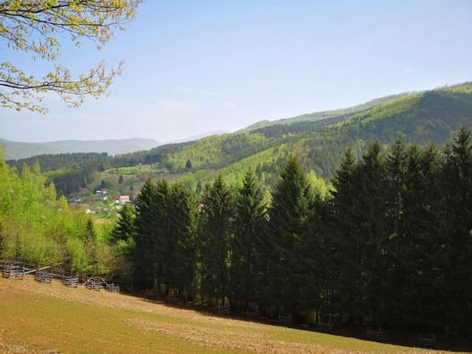 Bosnien Hercegovina har den højeste andel skov og den største diversitet i typer af skov i den vestlige del af Balkan. 