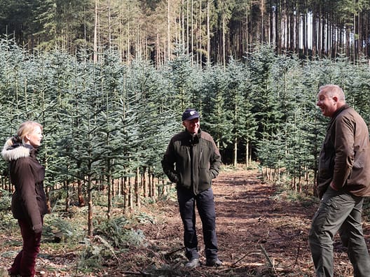 De seneste fire år har Skovdyrkernes skovfoged Klaus Lindhardtsen været tilknyttet ejendommen. Udover skovdriften produceres der også klippegrønt