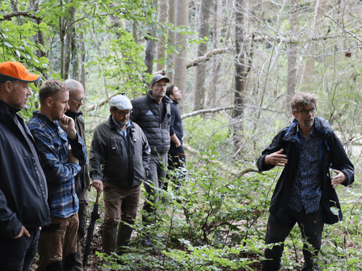 Jacob Heilmann-Clausen gav gode råd til at øge biodiversiteten i den dyrkede skov. 
