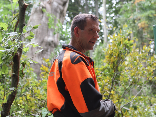 Claus Fuglsig Jensen er hyret ind af Skovdyrkerne. Han har topkappet tusindvis af træer. På denne opgave foregår arbejdet med mobillift fra lastbil.