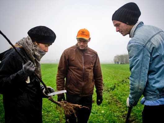 Anders Elmholdt demonstrerede plantning og plantetekniker – og fik hjælp til plantearbejdet af de fremmødte