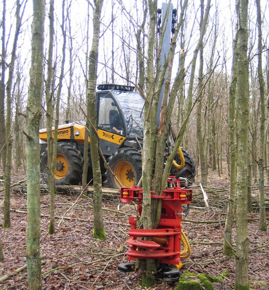 Tynding til flis i 18 år gammel eg. Skovningsmaskinen er udstyret med et aggregat til fældebunkelægning. Der indlægges kørespor og tyndes mellem disse i en operation. Det øger udtaget væsentligt og forbedrer økonomien.