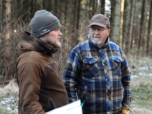 Skovfoged Søren Børsting og ejeren Bent Risom diskuterer, hvordan oprydning og genplantning foretages mest optimalt.