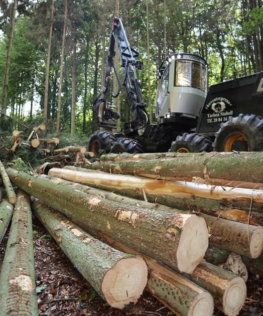 Der kan opnås betydeligt højere klimaeffekt ved at forbedre anvendelsen af skovenes effekter.