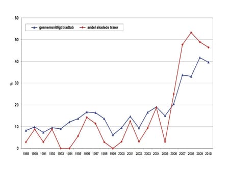 Gennemsnitligt bladtab i ask i skovsundhedsovervågningen siden 1989. Fra 2008 kom data fra Danmarks Skovstatistik med i større omfang. Indtil da var den vigtigste kilde en enkelt bevoksning, hvor asketoptørre blev konstateret i 2006.