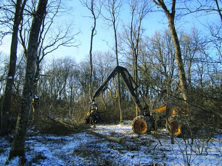 Skovning, udkørsel og knusning skete på frossen jord, hvorved man undgik dybe hjulspor. De største træer blev skovet manuelt.