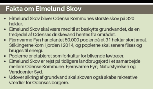 Fakta om Elmelund Skov  • Elmelund Skov bliver Odense Kommunes største skov på 320 hektar.  • Elmelund Skov skal være med til at beskytte grundvandet, da en tredjedel af Odenses drikkevand hentes fra området. • Fjernvarme Fyn har plantet 50.000 popler på e