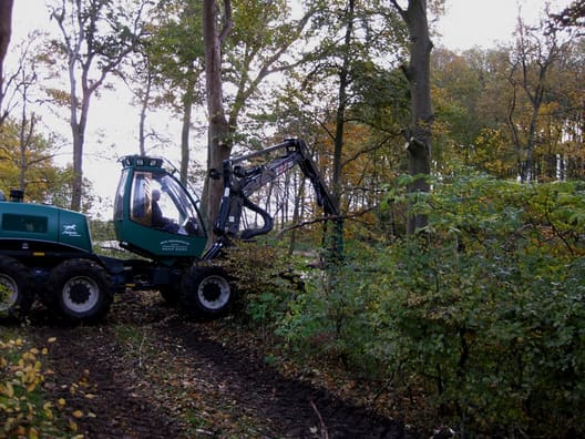 Skovningsmaskinen rykker ind i en 2 ha skovhave/park plantet af den nuværende ejers tipoldefar.