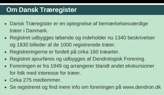 ● Dansk Træregister er en optegnelse af bemærkelsesværdige træer i Danmark. ● Registret udbygges løbende og indeholder nu 1340 beskrivelser og 1830 billeder af de 1000 registrerede træer. ● Registreringerne er fordelt på cirka 160 træarter. ● Registret ajo