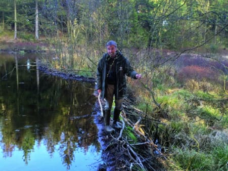 Skovrider Thomas Borup Svendsen på en af bævernes dæmninger i Klosterheden, hvor bæverne har skabt en sø i en af skovens lavninger.