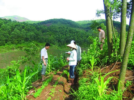 I Vietnam har DFE arbejde på at mindske erosionen på stejle skrænter. 