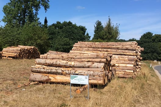 De gode afregningspriser på råtræ ser ud til at fortsætte i efteråret - skovdyrkerne
