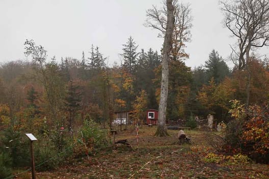 Arboret på Skovskolen på Eldrupgård