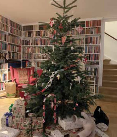 Nordmannsgranens bestemmelser er for de fleste, det færdig pyntede juletræ i folks stuer.